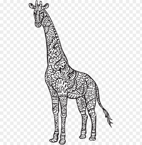 cute giraffe coloring pages chaihuthuytinh - notebook journal dot-gridgraphlinedblank no lined Clear Background Isolated PNG Illustration