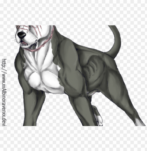 cute pitbull dog drawing - pitbull dog drawi PNG files with transparent backdrop
