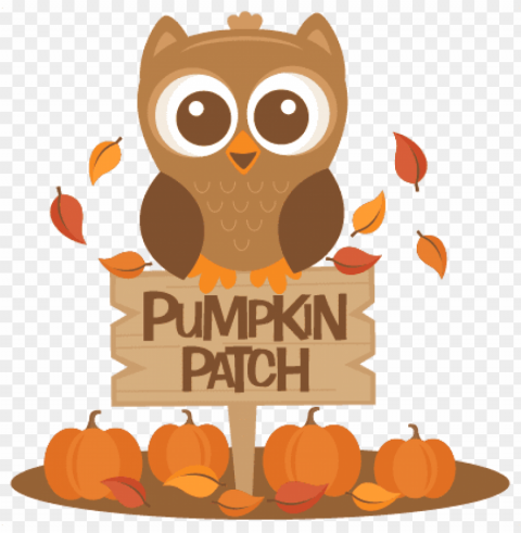 cute pumpkin patch PNG images with clear backgrounds
