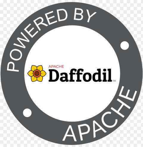 daffodil - circle ClearCut Background Isolated PNG Graphic Element
