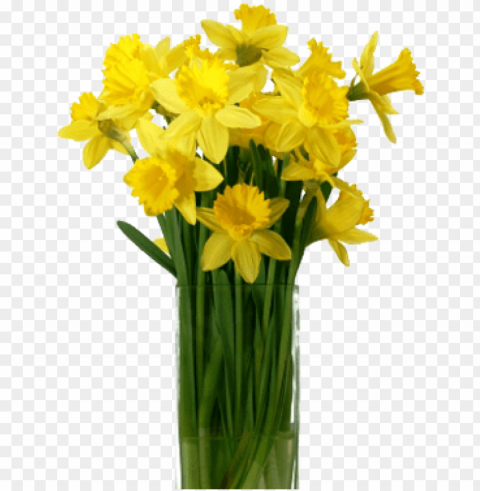 daffodil flower photo - yellow flower vase PNG file without watermark