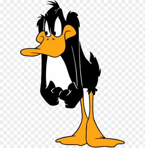 daffy duck cartoon character daffy duck characters - looney tunes daffy duck PNG with transparent backdrop