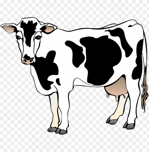 dairy cow clip art at clker - clipart of a cow Transparent PNG images complete library