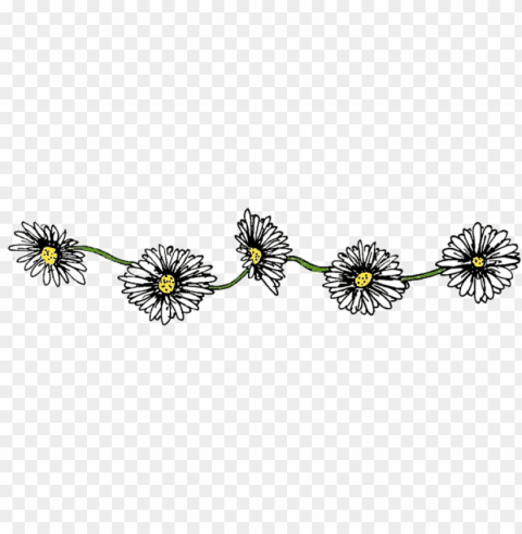 daisy chain - flower chain Isolated Item on Transparent PNG Format