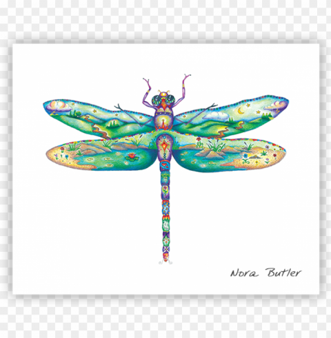 damselfly ii by nora butler - damselflies Clean Background Isolated PNG Icon
