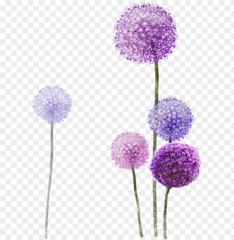 dandelion spa is the yard where you meet your wind - flower purple painting Clear Background Isolated PNG Object