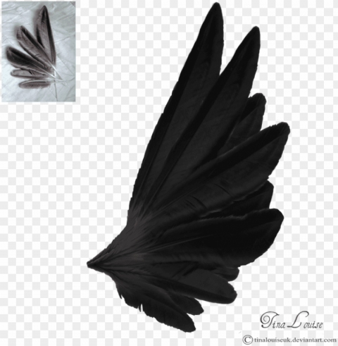 dark angel wings by tinalouiseuk on deviantart - angel wings side view black Isolated Element on HighQuality Transparent PNG