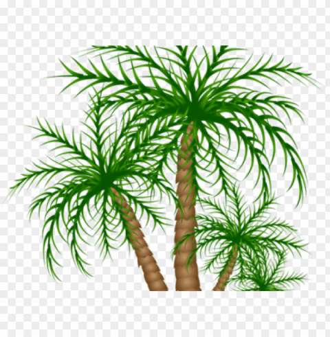 date palm clipart jurassic - palm trees PNG Image Isolated with Transparent Clarity
