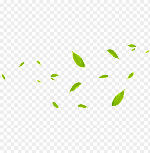 de folha de folha verde - leaves fly PNG transparent images mega collection