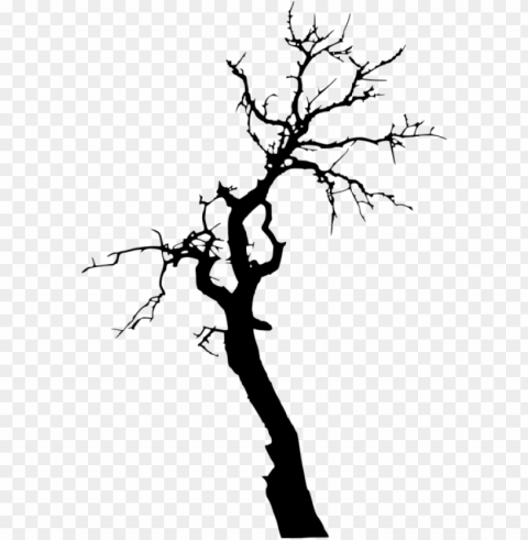 dead tree silhouette Clear PNG pictures comprehensive bundle