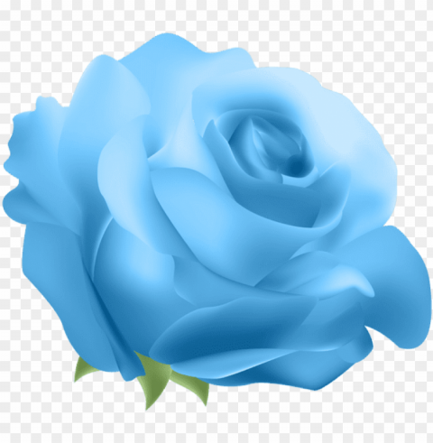 deco rose blue clip art - blue rose transparent Clean Background Isolated PNG Graphic Detail