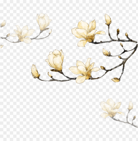 decorative corner flowers hand-painted hq - magnolia white watercolor flowers Free PNG images with alpha transparency compilation