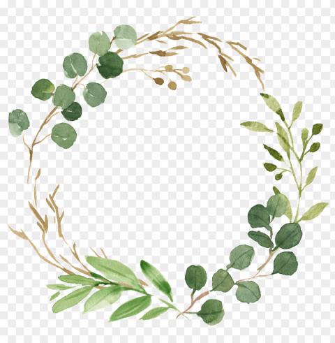 decorative elements about painted freshround borderfresh - watch me grow printables Isolated Item in Transparent PNG Format PNG transparent with Clear Background ID d38a8b68