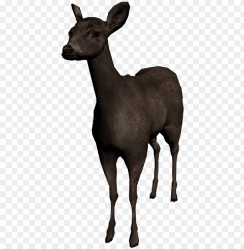 deer - 3d deer PNG files with no background assortment