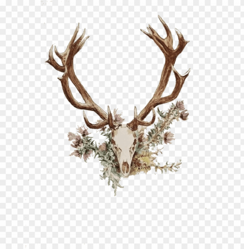 deer antler - antlers and flowers tattoo PNG with no background required