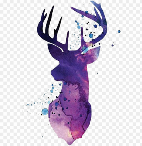 Deer Clipart PNG With Transparent Background For Free