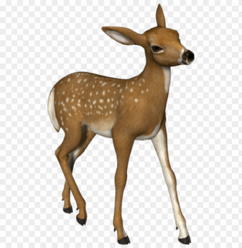 Deer Free PNG Images With Alpha Channel Compilation