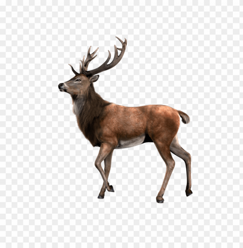 deer Free PNG images with alpha channel variety