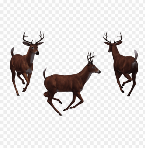 deer Free PNG images with transparent layers compilation