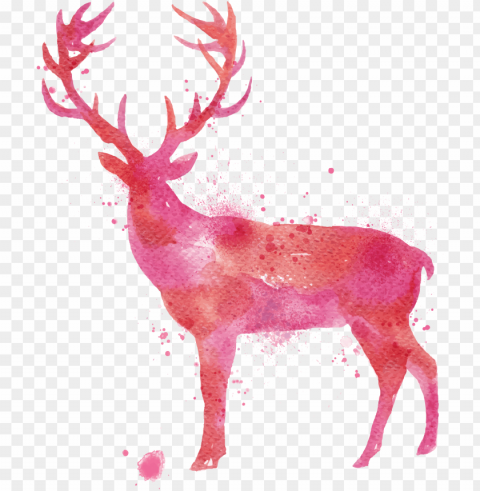 deer watercolor painting drawing - deer watercolor PNG Graphic Isolated with Clear Background