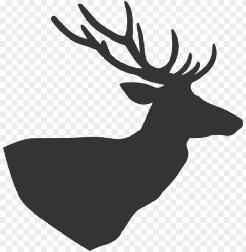 deerdeer - deer PNG art