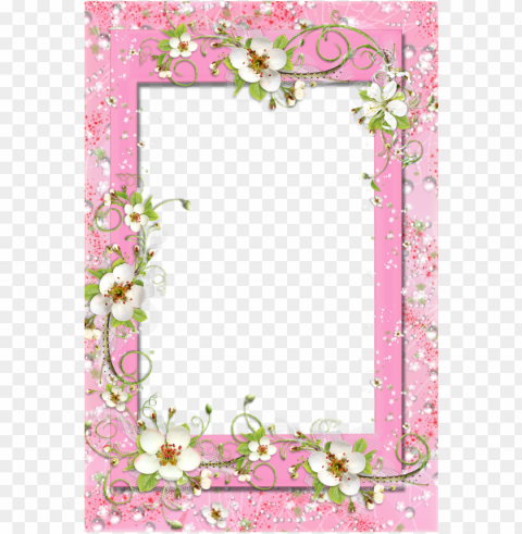 delicate pink photo frame with fl flower decorations - pink butterfly and flower border and frame High-resolution transparent PNG images