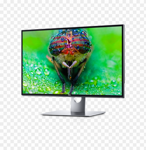 dell computer monitor PNG picture