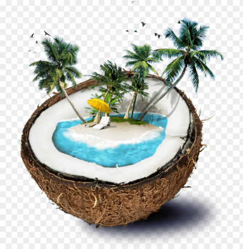 denismorrow tropical beach lounge - coconut tree theme PNG images with clear backgrounds