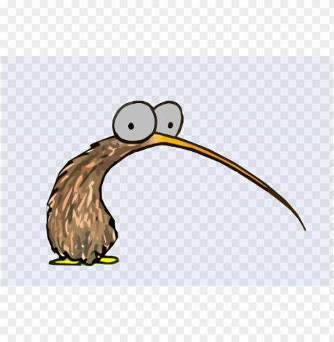 derpy kiwi bird Isolated Character in Transparent PNG Format