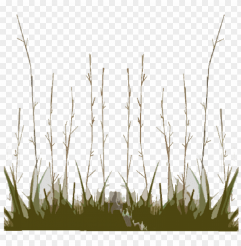 description backgrounds 1423862825 prairie intro - sweet grass Isolated Character on Transparent PNG