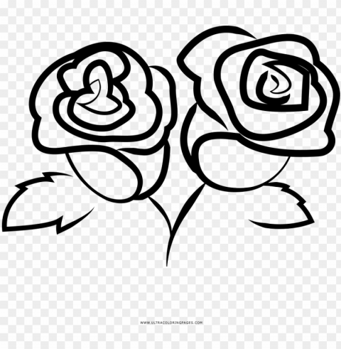 dibujo de rosas para colorear - frida restaurant springfield mo Isolated Object on Clear Background PNG