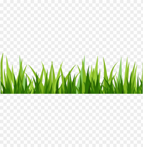 dibujo hierba - grass pasto vector Transparent PNG stock photos
