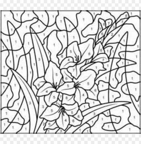 difficult color by number coloring pages Isolated Character on Transparent Background PNG