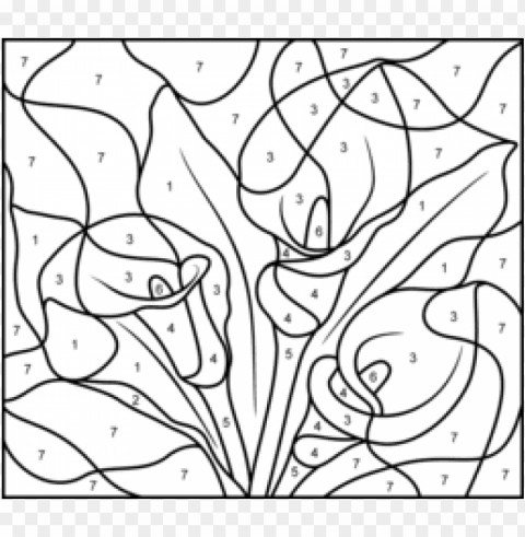 difficult color by number coloring pages Isolated Character on Transparent PNG