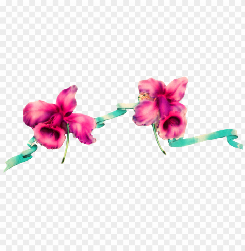 Digital Flower Border Design - Flower PNG Files With Transparency