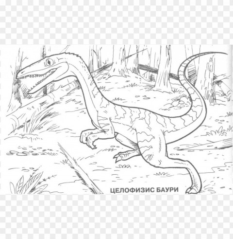 dinosaur color coloring pages PNG pictures with no backdrop needed