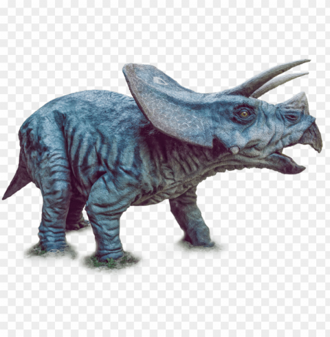 dinosaur image - dinosaur PNG transparent icons for web design