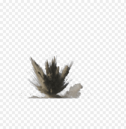 dirt explosion Isolated Subject in Clear Transparent PNG