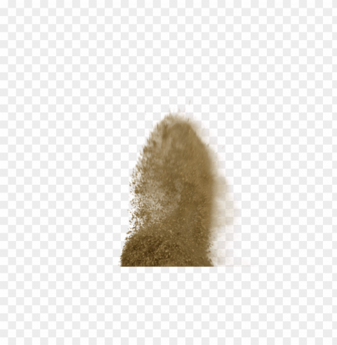 Dirt Isolated Character In Transparent PNG