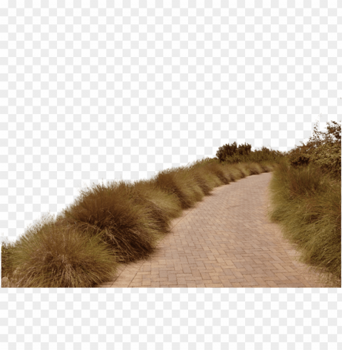 dirt road Isolated Object on Clear Background PNG