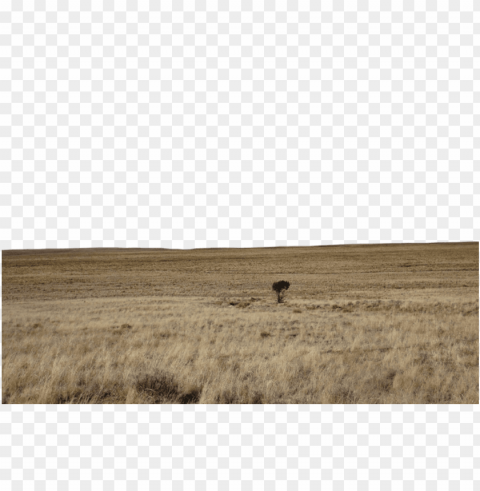 dirt road Isolated Subject in Transparent PNG Format
