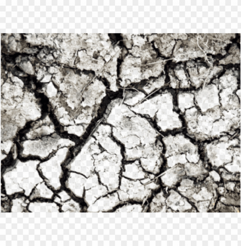dirt texture Isolated Element on HighQuality PNG