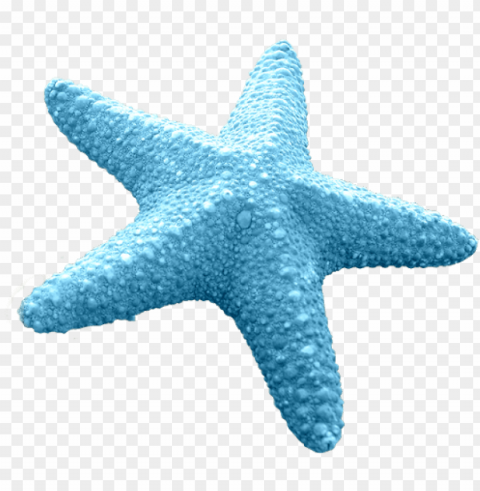 discover ideas about cartoon starfish - blue starfish vector Transparent PNG Object Isolation