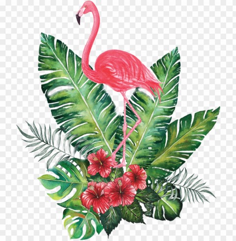 diseña bonito - flamingo PNG pictures without background