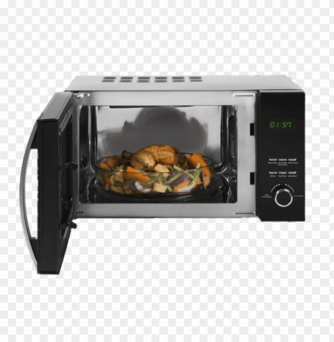 dish in combi grill microwave PNG free download