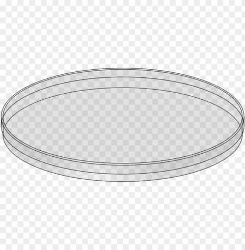 dish Transparent Background PNG Isolated Art