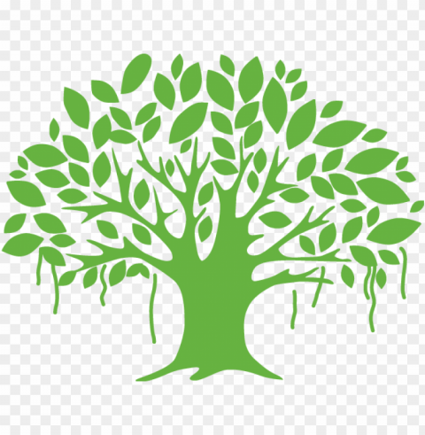 diversity tree clipart PNG Graphic Isolated with Clear Background PNG transparent with Clear Background ID 06f71f3b