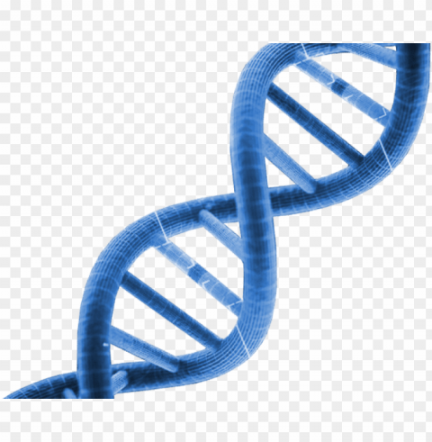 dna clipart clipart - dna Isolated Graphic with Transparent Background PNG