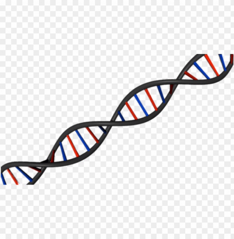 dna string diagonal PNG images for personal projects