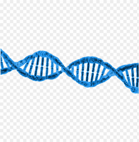 dna string double helix - missing link what it means PNG Image with Isolated Graphic Element
